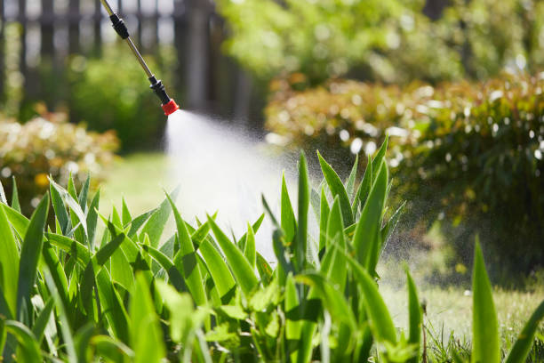 24/7 Emergency Fumigation Services experts in Shelbina, MO